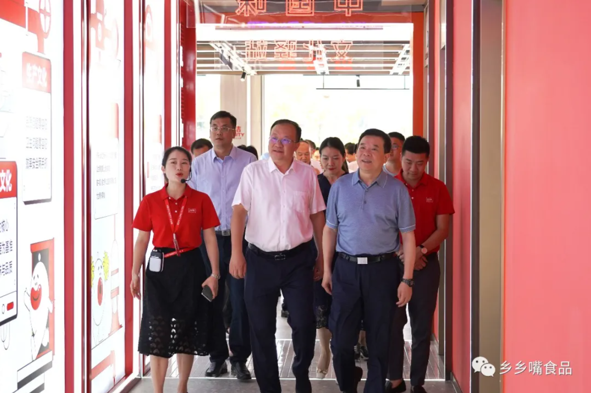 湖南省人民政府副省长陈飞一行莅临乡乡汇调研发展情况(图3)