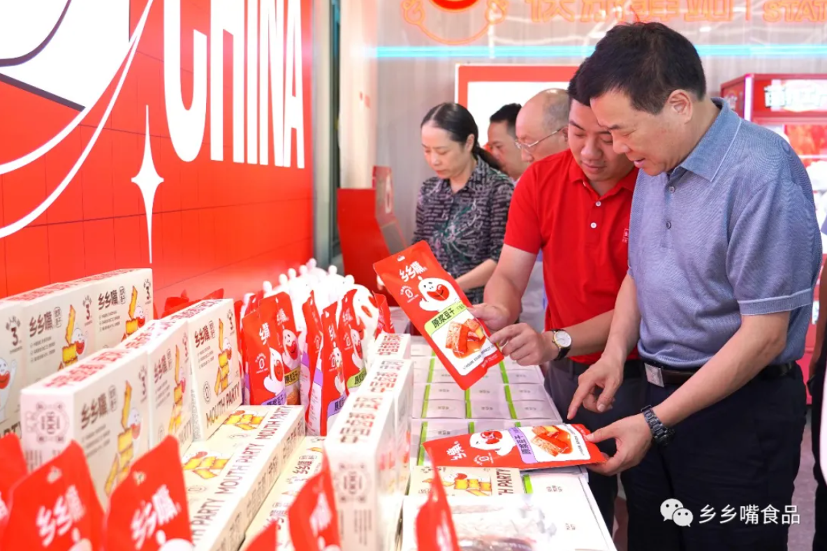 湖南省人民政府副省长陈飞一行莅临乡乡汇调研发展情况(图1)