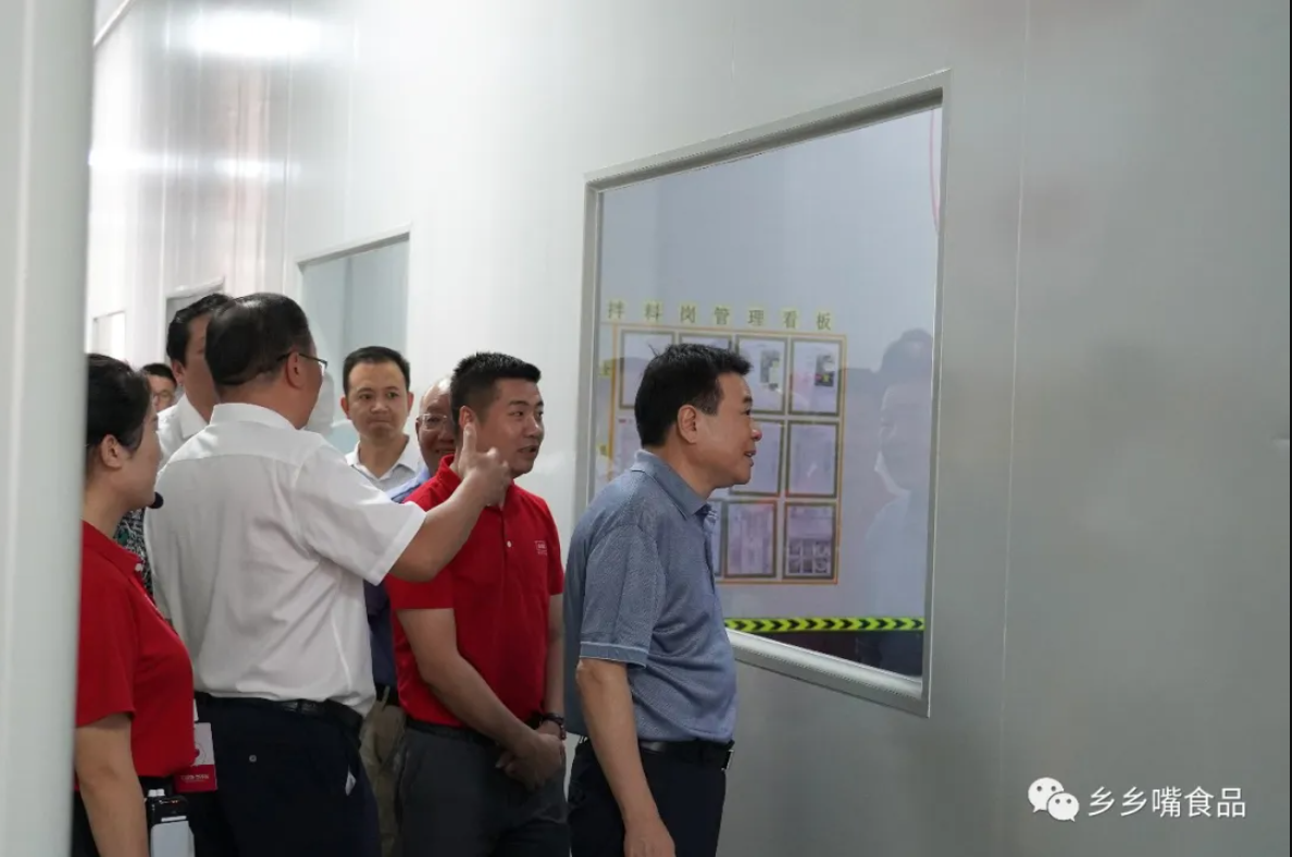 湖南省人民政府副省长陈飞一行莅临乡乡汇调研发展情况(图2)