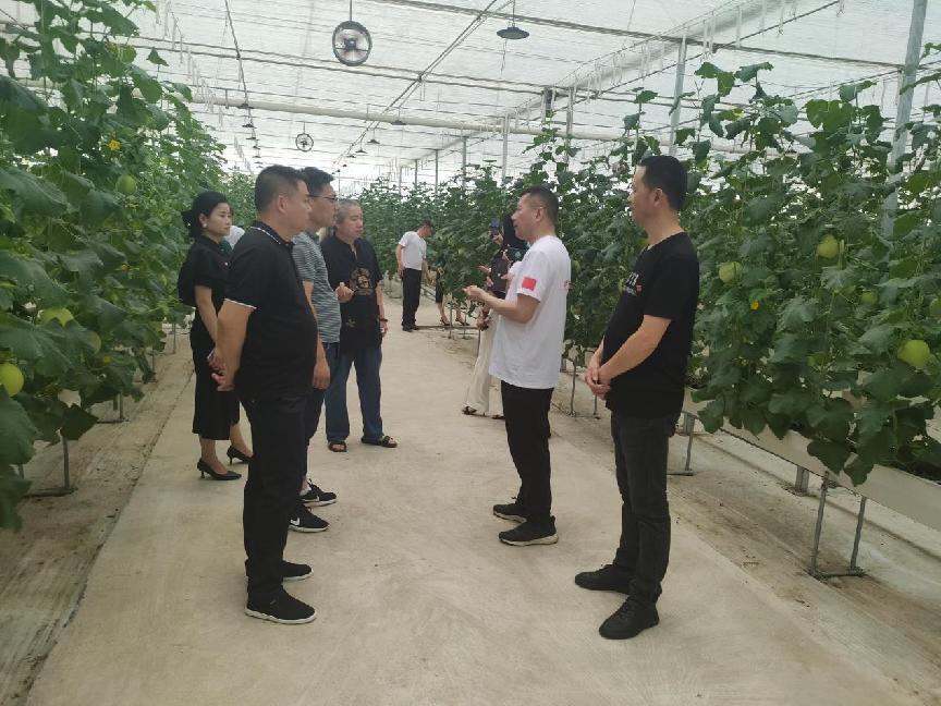 北塔区企业家商会党支部举行“缅怀先烈守初心 铭记历史践使命”非公经济人士主题教育活动(图4)