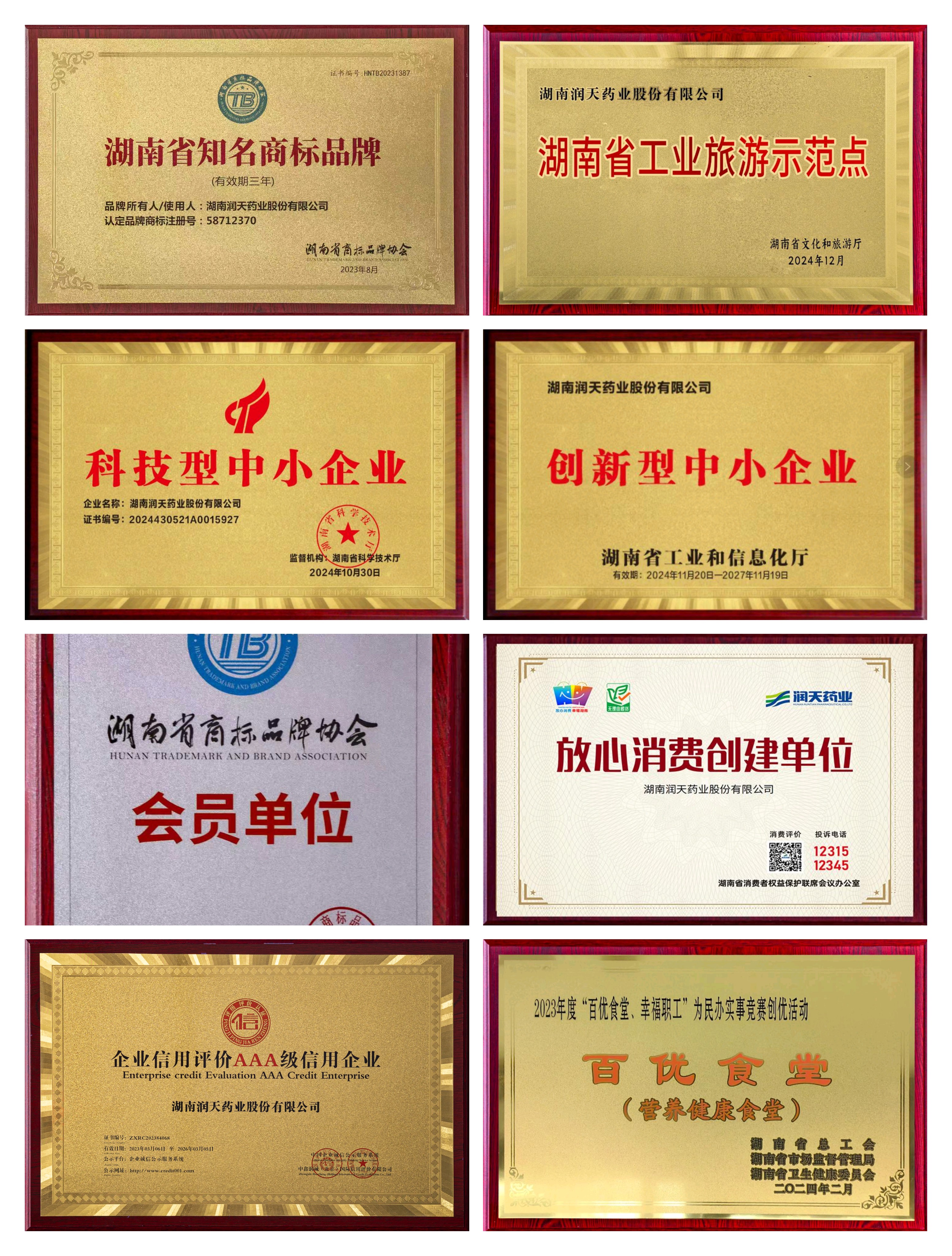 风雨同舟聚合力 红药同心耀湘中——邵阳红与润天药业奏响产业振兴磅礴乐章(图3)