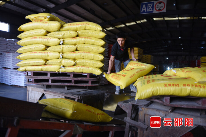 王一凡：从饲料作坊到国家级龙头，见证邵阳营商之变(图3)
