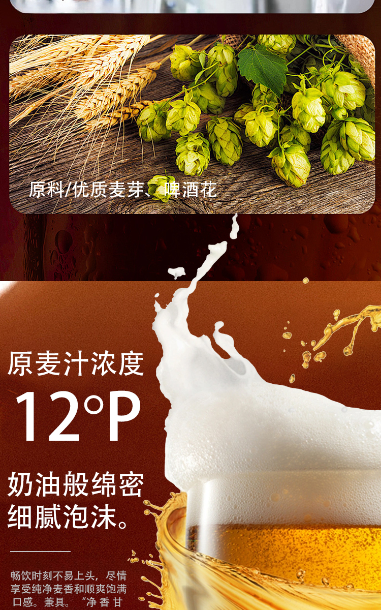 宝庆啤酒·宝庆山水精酿啤酒(图8)