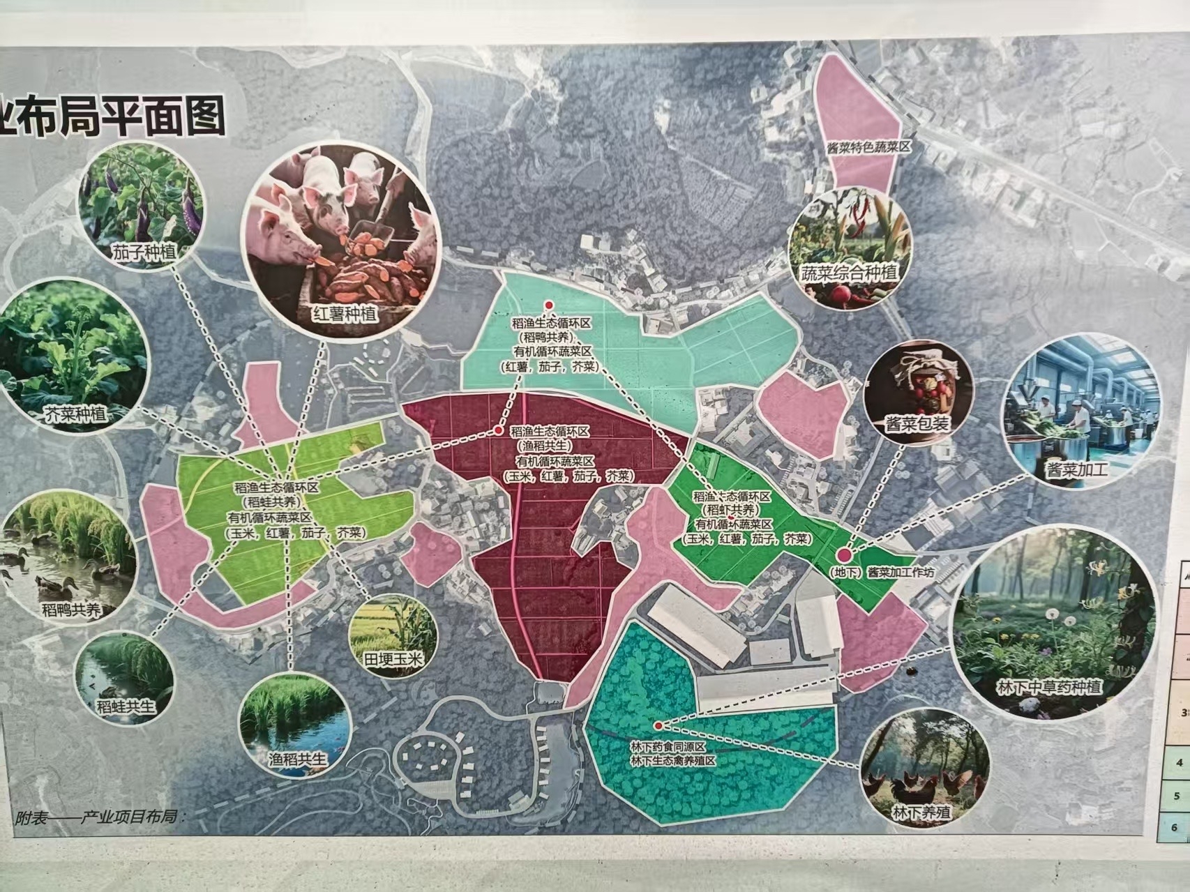 深耕微生态农业 赋能乡村振兴——邵阳市中国传统文化研究会调研六一农业科技(图3)