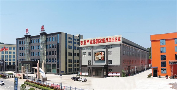 湖南军杰食品科技有限公司