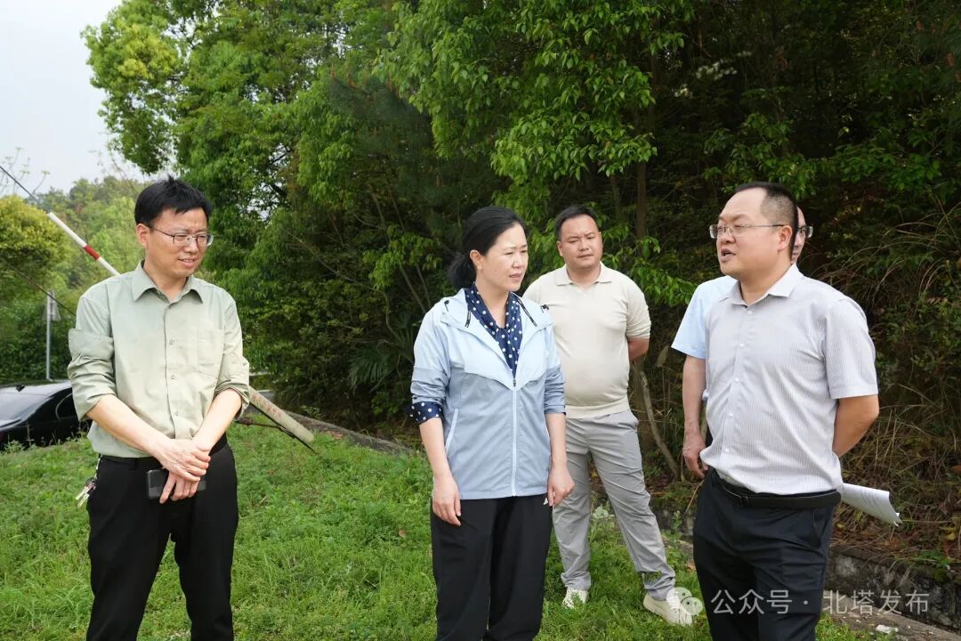 姚文娟带队调研防汛备汛及春耕生产工作(图1)