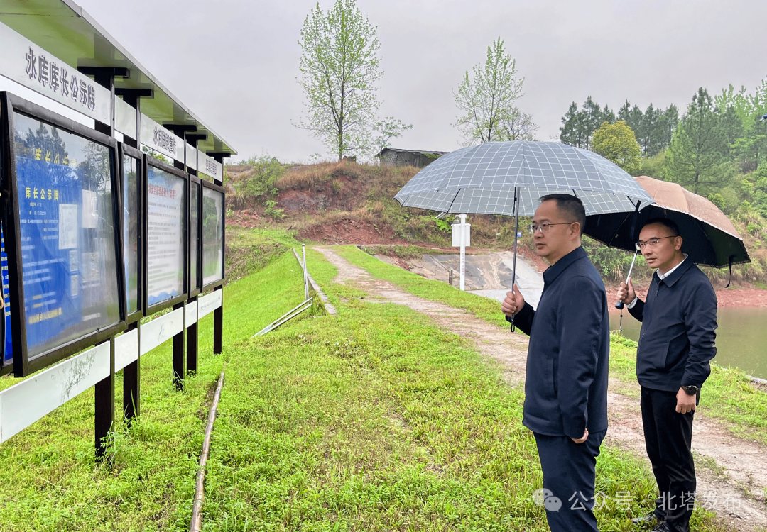 张龚调研防汛备汛、高标准农田建设及安全生产工作(图1)