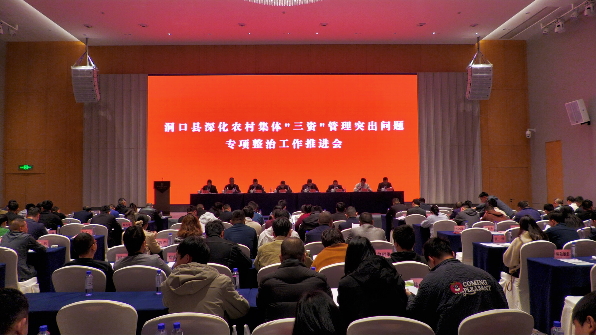 洞口县深化农村集体“三资”管理突出问题专项整治(图1)